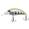 NEW fishing lure for pike and bass - Caveel