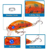 50mm Minnow Fishing Lure - Caveel