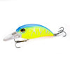 NEW fishing lure for pike and bass - Caveel