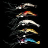 5pcs Luminous Shrimp Soft Lure - Caveel