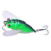 NEW Insect Fishing Lures - Caveel