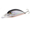 NEW fishing lure for pike and bass - Caveel